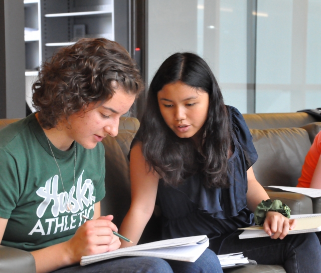 Two students working together on their homework